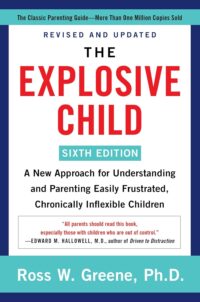the explosive child