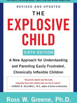the explosive child